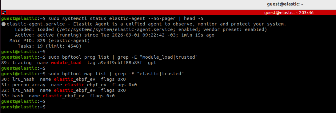 elastic-agent status and bpftool showing module_load prog and elastic_ebpf_ev maps