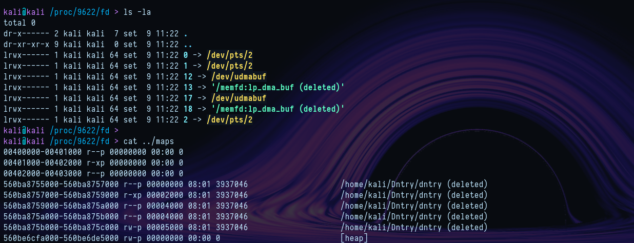 /proc/pid/fd showing no payload fds